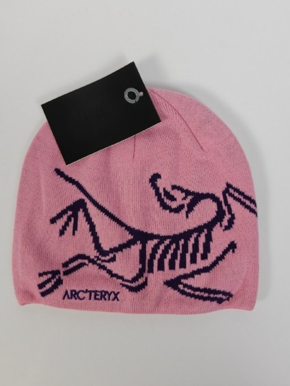 Arc'teryx Blue Bird Head Toque Skullcap